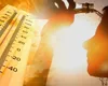 Se anunță o vară cum nu a mai fost în București. Când vine canicula în Capitală, urmează cinci zile cu temperaturi extreme
