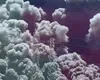 Incendiu violent, arde un depozit de echipamente medicale, focul s-a extins pe câteva hectare VIDEO