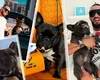 Dorian Popa, îngenunchiat de durere! Cheluțu a murit chiar de ziua lui, la doar 10 anișori: „O parte din inima mea nu mai bate”