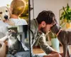 Amenzi pentru românii care au animale de companie la bloc. Ce oraș din România permite doar doi câini sau două pisici într-un apartament