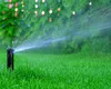 Greșeala care îți distruge gazonul vara. Ora la care trebuie udat ca să rămână verde și sănătos