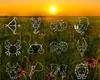 4 zodii binecuvântate la final de iunie. Nativii care trăiesc sentimente unice