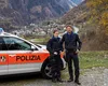 Escrocheria prin care doi români au prejudiciat sistemul social din Elveția le-a adus interdicția de a mai intra în țară timp de 12 ani