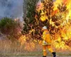 Incendiu de vegetație în Spania. Au ars 330 de hectare. Mai mulți oameni sunt evacuați