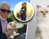 Cea mai bogată pisică din lume a rămas falită. Choupette, felina lui Karl Lagerfeld, nu a pus lăbuța pe moștenirea lăsată de creatorul de modă