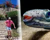 Cum arată mușcătura unui pește-iepure. Marius Niță a dezvăluit cum se simte prietenul său