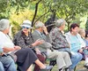 Fenomenul care a luat cu asalt Capitala, bucureștenii sunt disperați, specialiștii avertizează: „Au apărut specii noi!”. Invazie de țânțari, căpușe și fluturi de noapte