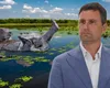 Tánczos Barna avertizează: „Dacă nu intervenim, ursul se va duce să facă baie în Deltă”. România cere reguli noi la nivel european