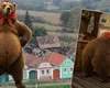 Pofticios de Buzău: Un urs a invadat opt case și a fost prins în timp ce căuta „ceva dulce” prin frigider