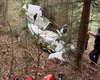 Avion prăbuşit în pădure. Există doi supravieţuirtori, dar se află în stare critică