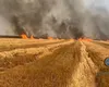Incendiu masiv în Mehedinţi, ard peste 30 de hectare de mirişte VIDEO