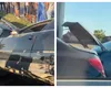 Val de accidente pe șoselele din țară.  Mai multe persone au ajuns la spital