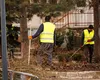 Aproape 100 de persoane din județul Buzău au rămas fără ajutorul social după ce au refuzat cursurile de formare profesională