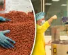 Unul dintre cei mai mari producători de ciocolată din lume se pregătește să deschidă prima fabrică din România