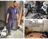 Peste 100 de pisici, ridicate dintr-un apartament din București. ASPA: unele au probleme de sănătate. Nu a fost uşor să fie relocate