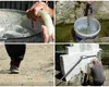 O comună din România fără apă și canalizare are siglă luminoasă de 92.000 de lei și foișor de 75.000 de lei