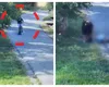Poliția Română, avertisment pentru părinți după imaginile în care doi copii cad de pe o trotinetă iar unul dintre ei rămâne inconștient:”L-ai mai lăsa să plece cu trotineta?”