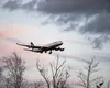 Avion prăbușit în Bahamas. Pilotul și restul pasageilor au murit. O formație celebră ar fi fost la bordul aeronavei