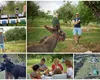 Dana Nălbaru și Dragoș Bucur se mândresc pe internet cu gospodăria lor. S-au retras la țară în urmă cu doi ani: „A fost cea mai bună decizie”