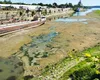 Centrala de la Cernavodă se oprește complet joi, la ora 7. România cere ajutorul Comisiei Europene în criza energetică