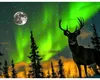 Horoscop special. Luna Plină a cerbului și Ziua Miracolelor – 29 iulie 2026. Dorința care se poate împlini pentru fiecare zodie