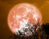 Luna Plină din 29 iulie. Cum faci ritualul celor două focuri pentru eliberare și manifestare