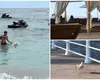 Cât a ajuns să coste o zi de plajă în Mamaia. Experiența unei influencerițe: „Nu punem în calcul motorina și taxa de pod de la Fetești”