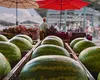 Cât costă un kilogram de pepeni de Dăbuleni în 2026. Producătorii se tem că nu-și vor scoate investițiile