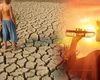 Canicula din Europa și riscul ridicat al unui Super El Niño amenință piețele materiilor prime. Produsele care s-ar putea scumpi din cauza fenomenelor meteo extreme
