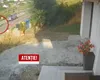 Scene șocante în Suceava! Un adolescent de 14 ani, pe trotinetă, a fost urmărit 2 kilometri și lovit intenționat cu mașina de un șofer nervos, apoi bătut