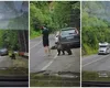 Un urs extrem de tacticos a reușit să se apropie periculos de un turist pe Transfăgărășan. Bărbatul n-a schițat niciun gest când animalul i-a mirosit gambele