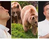 Valentin Sanfira a dat nas în nas cu doi urși: „Mari, imenși”. Artistul a trăit clipe de panică: „Nu am mai văzut niciodată aici la cabană” VIDEO