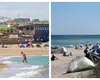 Cât costă o zi în Vama Veche. Câți bani dau turiștii pe transport, mâncare și distracții