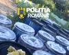 Opt tone de varză murată, distruse după ce au fost găsite depozitate în gropi săpate în pământ