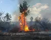 Incendiu violent în Mehedinţi, flăcările se apropie de case