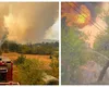 Peste 2.700 de hectare de teren, mistuite de flăcări în ultimele zile. Incendiu puternic și luni, în Deltă! VIDEO
