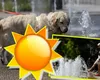 Prognoza meteo 16 august 2026. Revine canicula! Unde va ploua în orele următoare