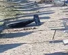 O nouă alertă la malul Mării Negre. Un fragment de dronă a fost adus de valuri la ţărm în Olimp
