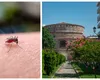 Alertă de West Nile într-o țară unde merg în vacanță mulți români! Zeci de cazuri noi pe săptămână, nouă oameni decedați