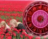 HOROSCOP 9 august 2026. Uneori este înţelept să știi să te opreşti. Nu-ți fie frică să pui întrebări!