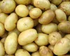 Bani de la stat pentru agricultorii români. Producătorii de cartofi de consum pot primi până la 300 euro/hectar