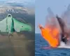 Alertă în Marea Neagră. Două drone cu posibilă încărcătură explozivă, distruse de Armata Română în zona Neptun Deep VIDEO