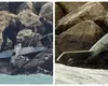 Fragment de dronă găsit pe plaja din Costinești, la o zi după ce găsirea unei drone a dus la închiderea plajei și evacuarea turiștilor