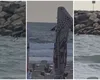 Dronă descoperită de turiști în mare, la Costinești: „Ia uitați cât de bine se vede la mine. Foarte bine se vede. Dronă e”. Alertă pe litoral