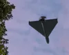 RO-Alert în județul Tulcea! O țintă aeriană, detectată de radarele MApN în apropierea frontierei cu Ucraina