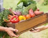 Amenzi în valoare de 20.000 de lei pentru fermierii care nu raportează stocurile produselor agricole și alimentare