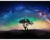 Cele 3 zile care schimbă tonul finalului de august: Venus îl înfruntă pe Saturn, Lilith iese din umbră, iar Soarele părăsește Leul. Mesaje puternice pentru fiecare zodie