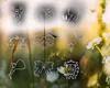 Horoscop 12 august 2026. Noi începuturi și decizii curajoase pentru anumite zodii