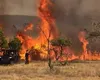 Incendii devastatoare din cauza caniculei. Flăcările imense au ajuns lângă casele oamenilor, pompierii au intervenit ore întregi pentru a opri extinderea focului