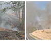Ard munții în vestul țării. Flăcările au cuprins peste 250 de hectare, sute de oameni se luptă cu focul în apropiere de Băile Herculane
